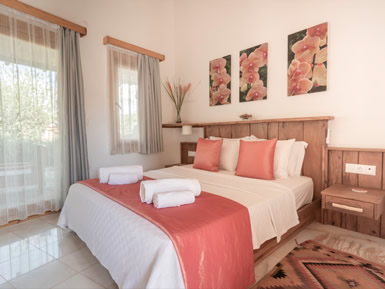 Deluxe King Room with Terrace